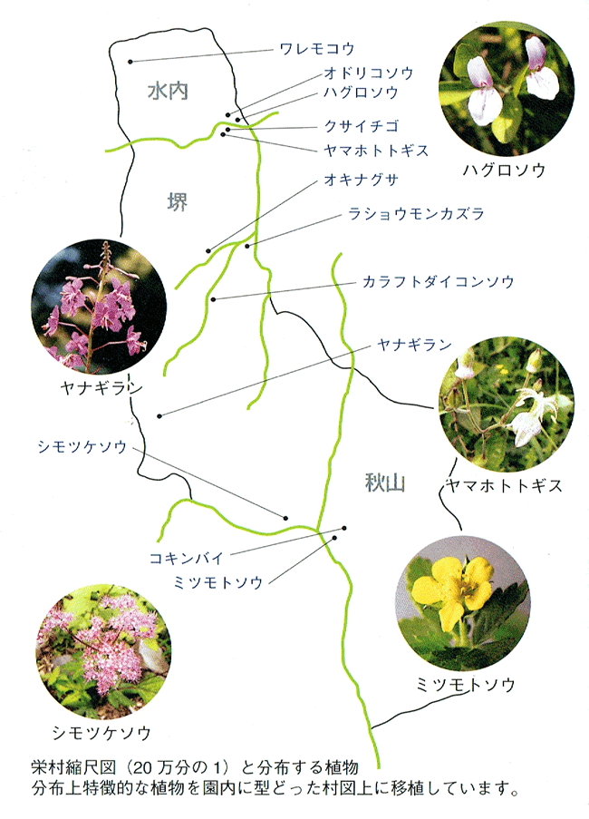 栄村縮尺図（20万分の1）と分布する植物の紹介図。分布上特徴的な植物を園内に型どった村図上に移植しています。