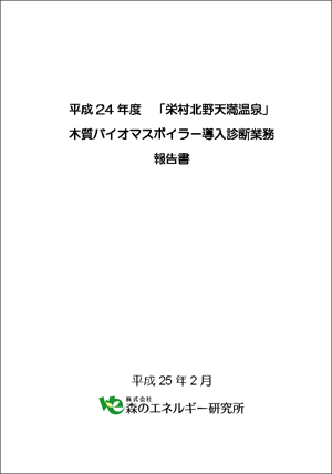 平成24年度「栄村北野天満温泉」木質バイオマスボラー導入診断業務報告のPDFファイルはこちら