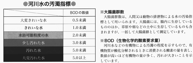 河川水の汚染指標