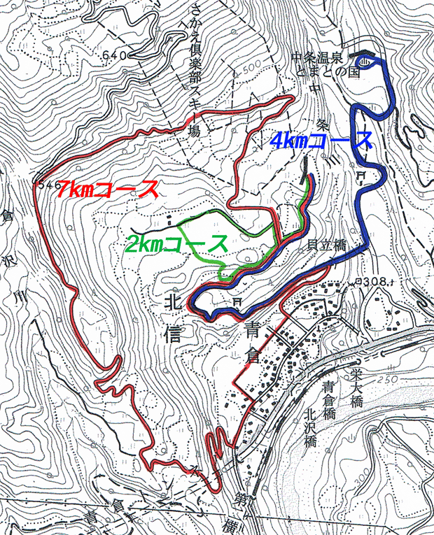 歩け歩け大会コース地図