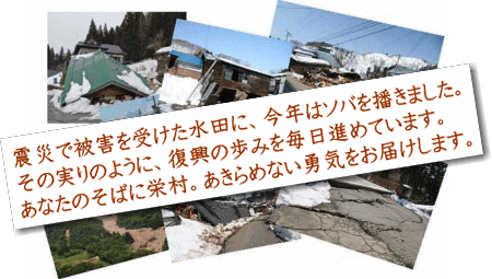 震災で被害を受けた水田に、今年はソバを捲きました。その実りのように、復興の歩みを毎日進めています。あなたのそばに栄村。あきらめない勇気をお届けします。