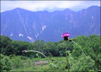 初夏の鳥甲山