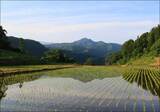 梅雨らしくない日が続く