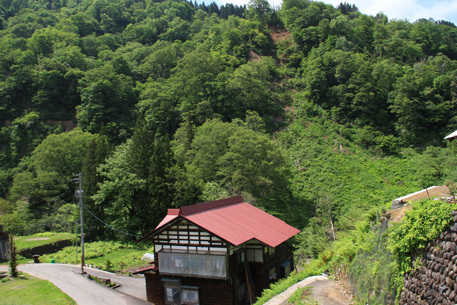 niteno_2012-05-30.jpg