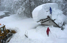 豪雪の写真