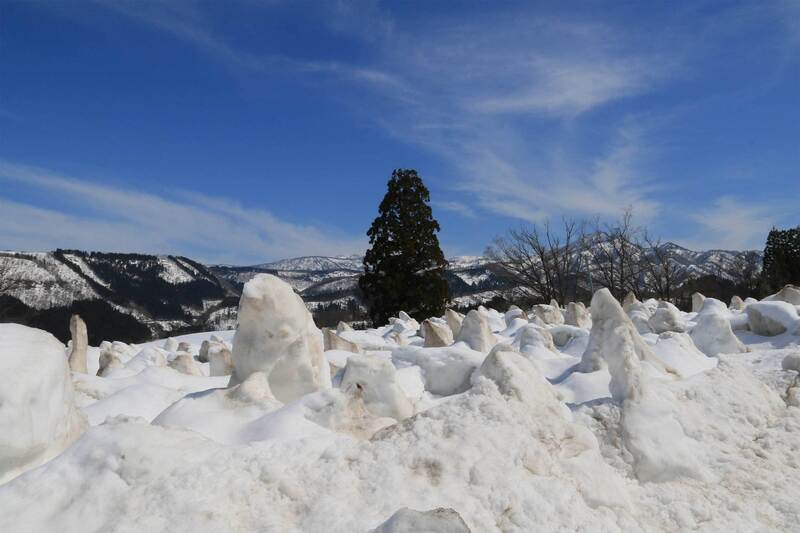 バックホーで残雪処理された水田　原向