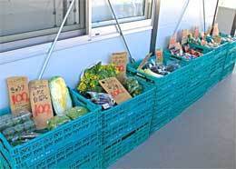 籠に入った野菜が並ぶ写真