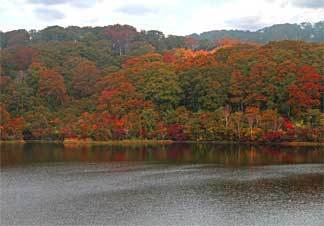 野々海池