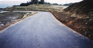 完成した道路の写真