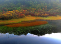 紅葉始まった野々海高原の朝